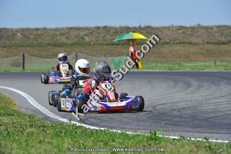 DSC_ (1557).jpg